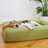 Beagle sleeping comfortably on a green dog bed