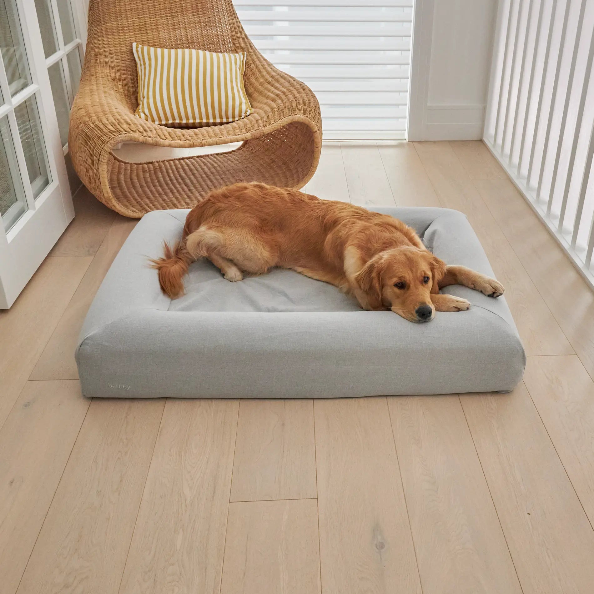 Golden Retriever lying on a mist-coloured dog bed in a modern room