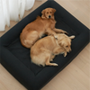 Two golden retrievers resting on a black dog bed