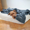 Irish Terrier resting on a cozy pet bed with a soft grey blanket