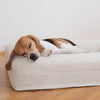 Beagle sleeping on a boucle luxury dog bed