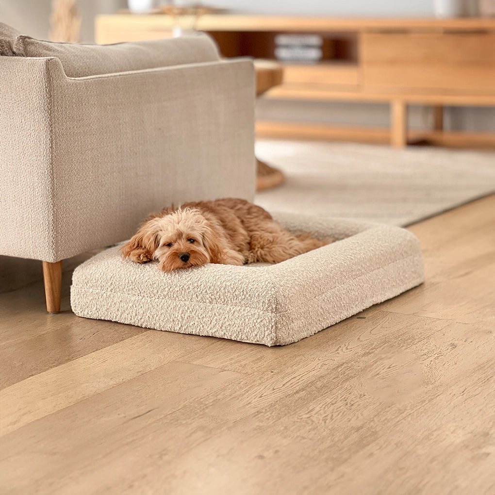 dogbed