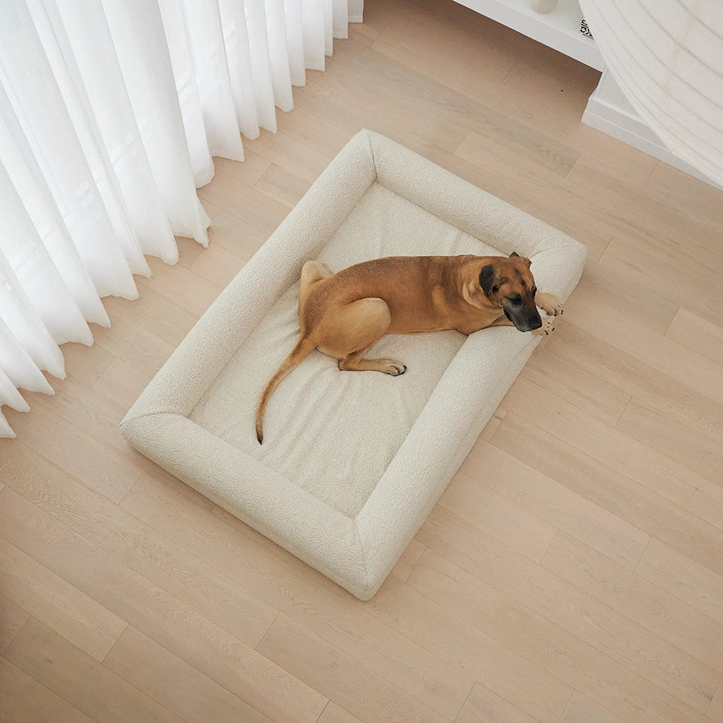 dogbed