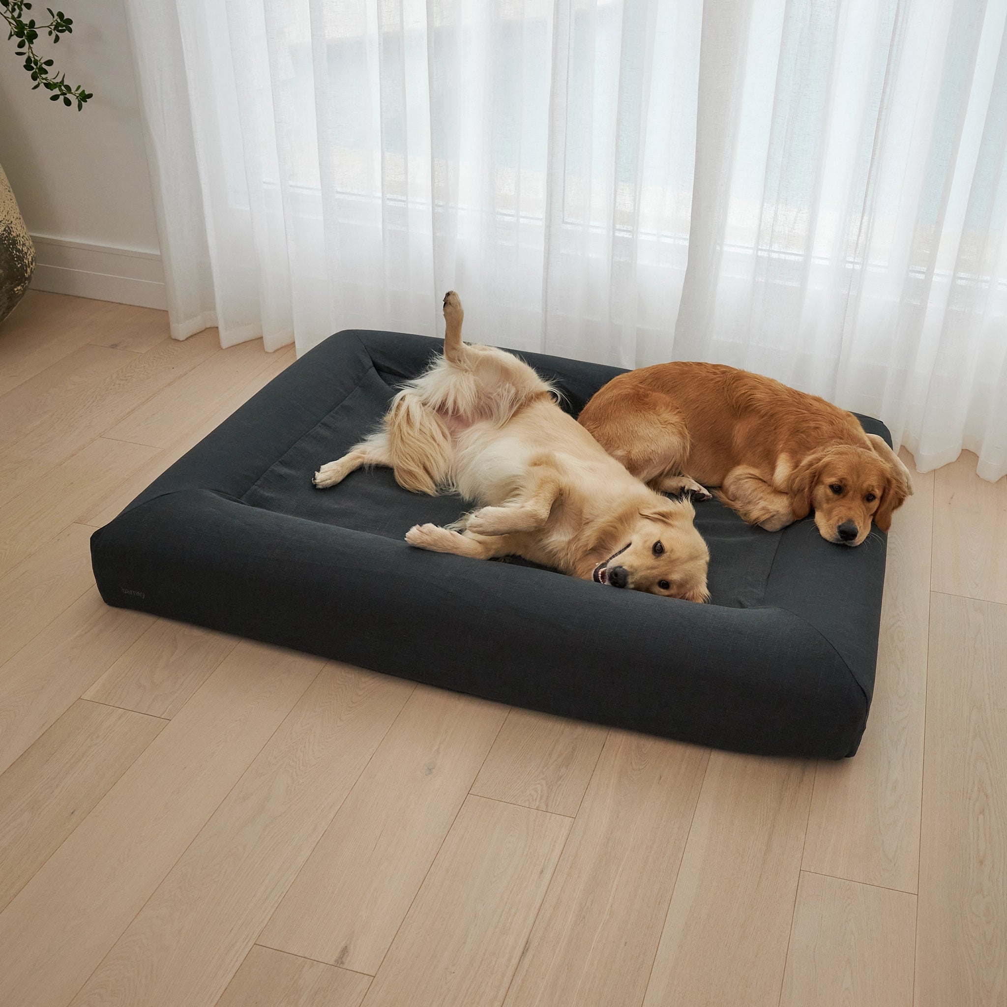 dogbed