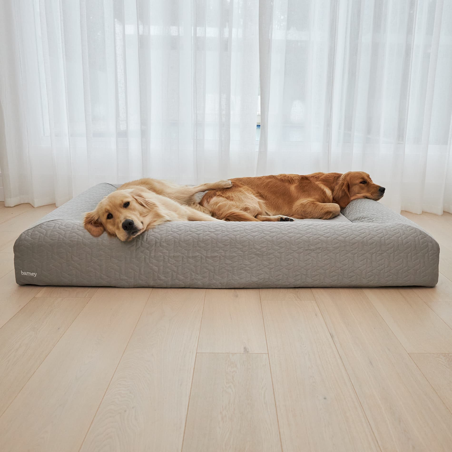 Two golden retrievers resting on a cool grey large dog mattress