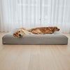 Two golden retrievers resting on a cool grey large dog mattress
