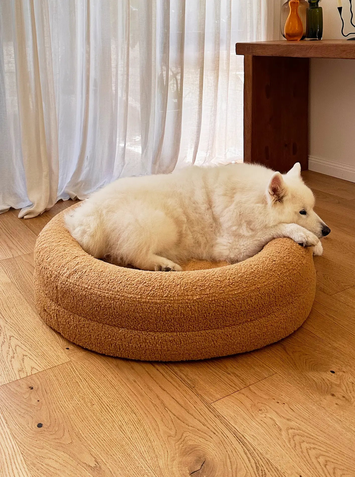 Large golden dog bed with a fluffy white Samoyed resting comfortably