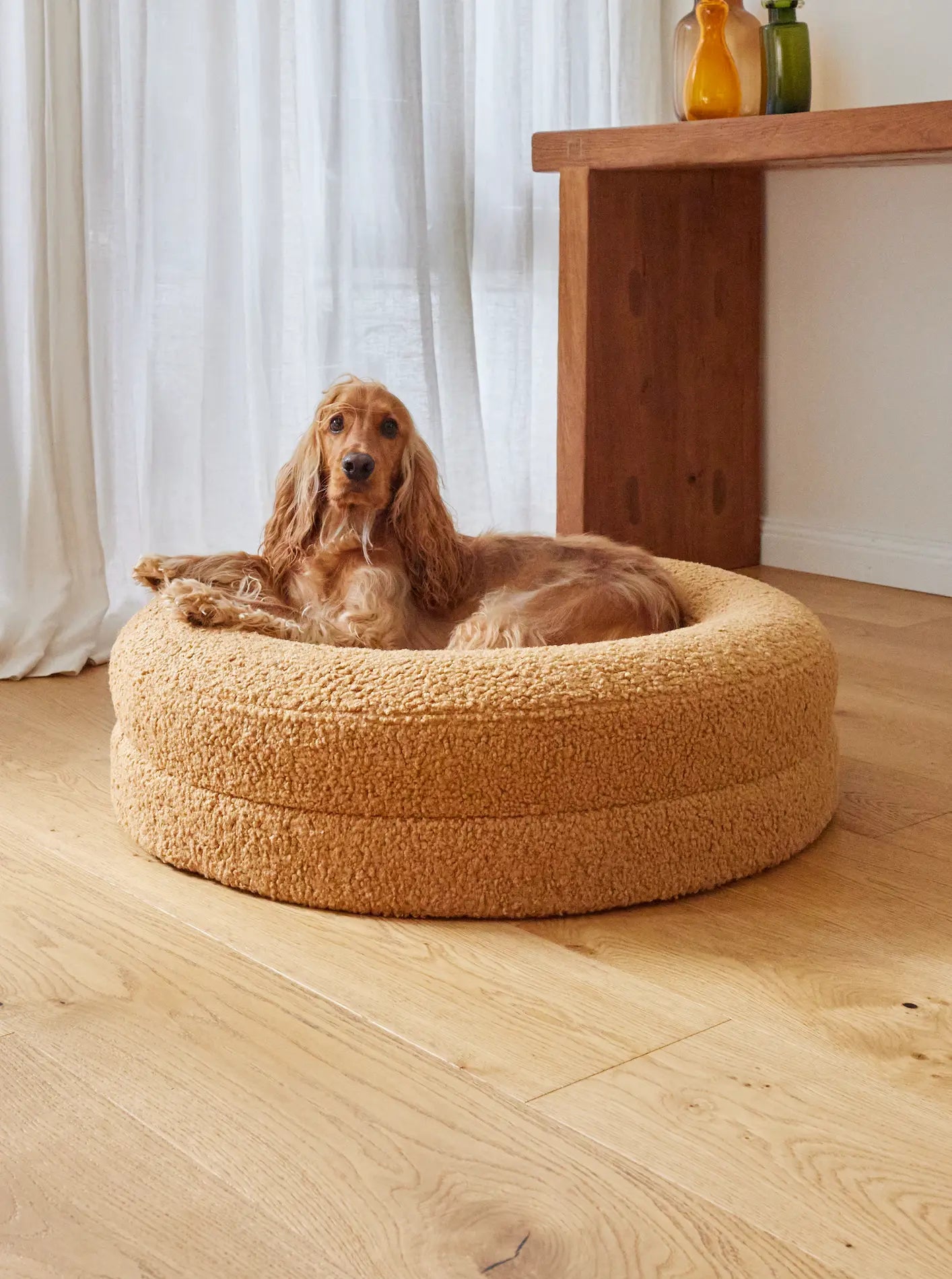Medium dog bed in golden colour with a relaxed dog lying comfortably