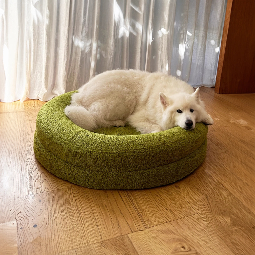 dogbed