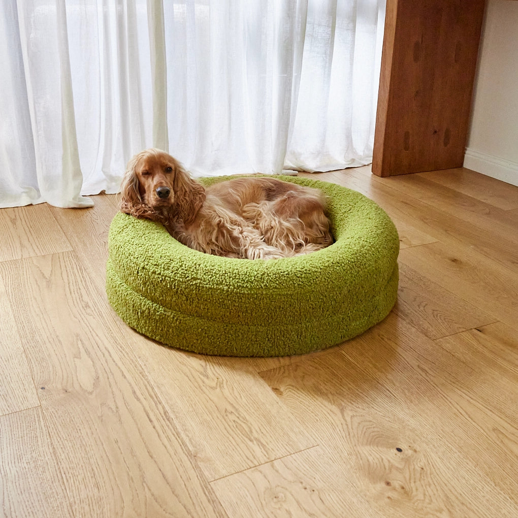 dogbed
