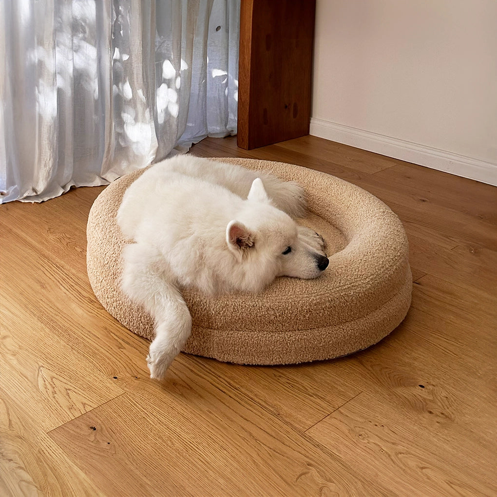 dogbed