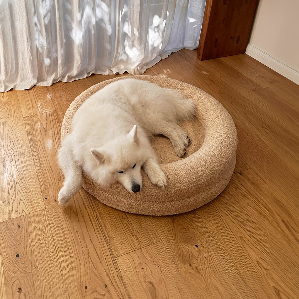 dogbed