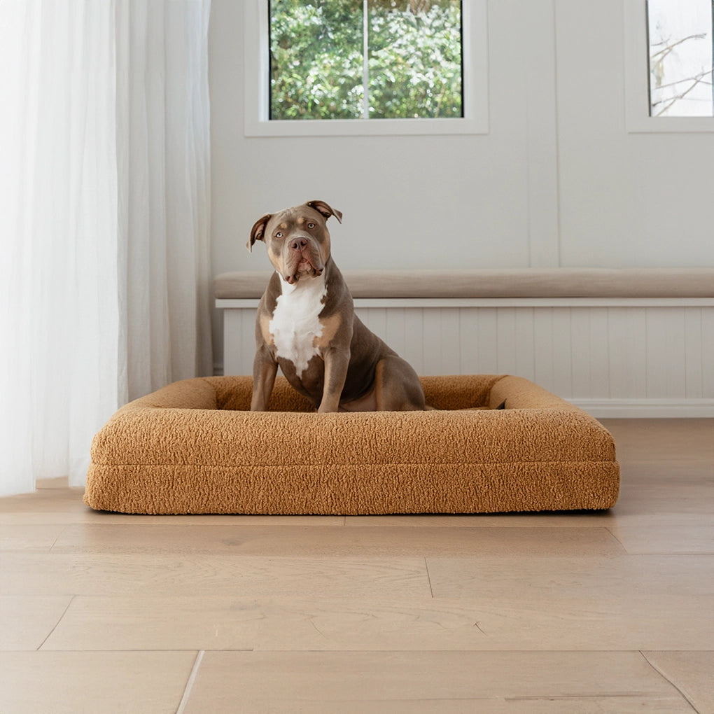 dogbed