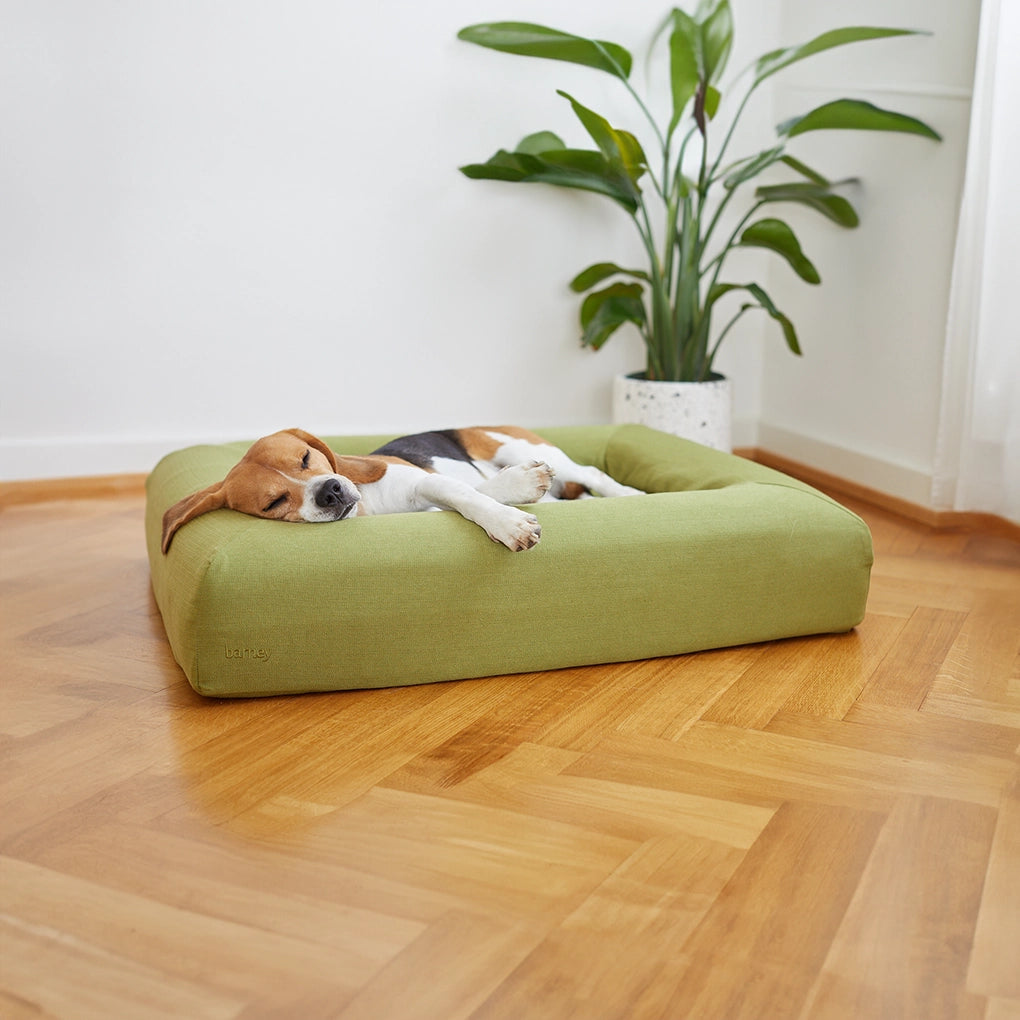 dogbed