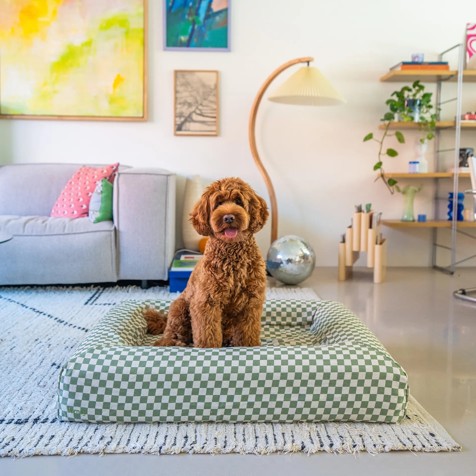 Australian Labradoodle sitting on a checkered dog bed in linen olive colour