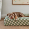 Pitbull resting on a checkered dog mattress in olive and linen colours