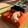 Small dog resting on a rust-coloured dog bed