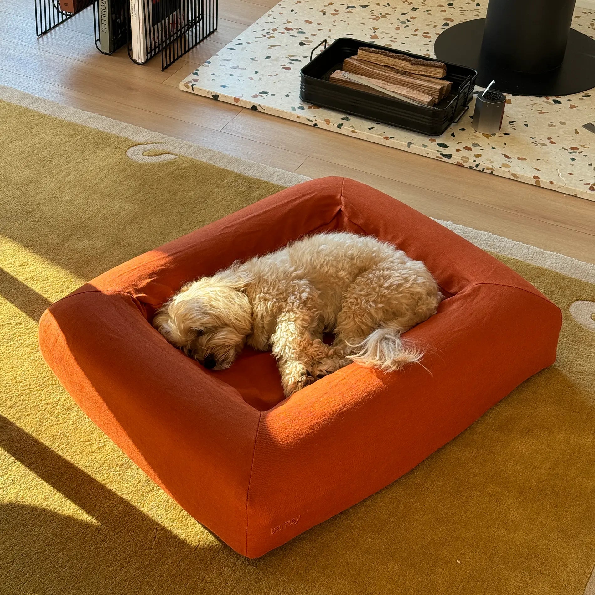 Small dog sleeping on a rust-coloured pet bed