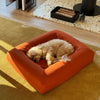 Small dog sleeping on a rust-coloured pet bed