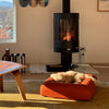 Small dog resting on a rust-coloured dog bed in front of a fireplace