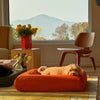 Small dog resting on a rust-coloured dog bed in a cozy living room setting