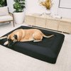 Large black dog bed with a Mastiff lying comfortably on it