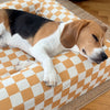 Beagle sleeping on a mustard checkered dog bed