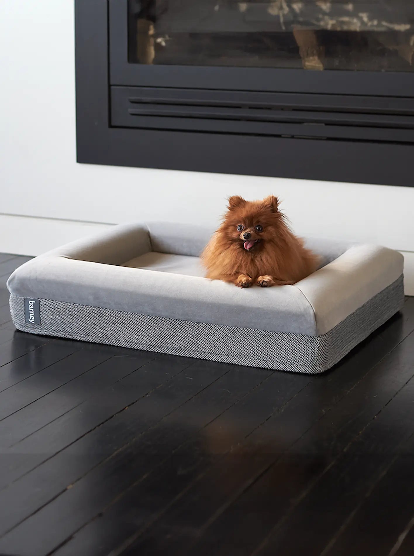 Small grey dog bed with a Pomeranian sitting comfortably on it