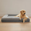 Golden retriever relaxing on a grey pet bed