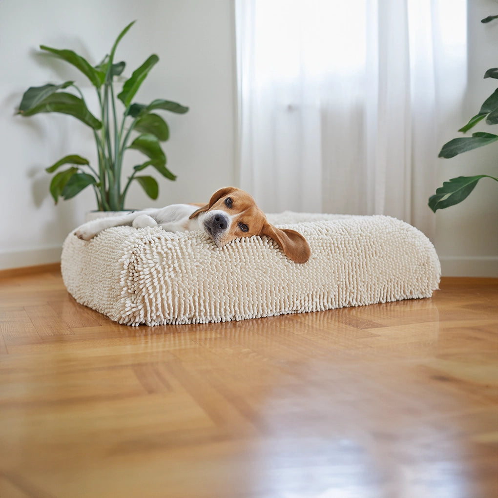 dogbed