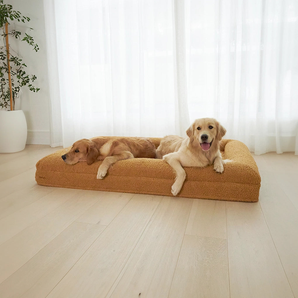dogbed