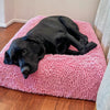 Black Labrador resting on a pink dog mattress