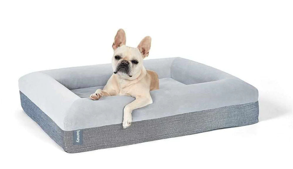 Casper dog bed shop australia