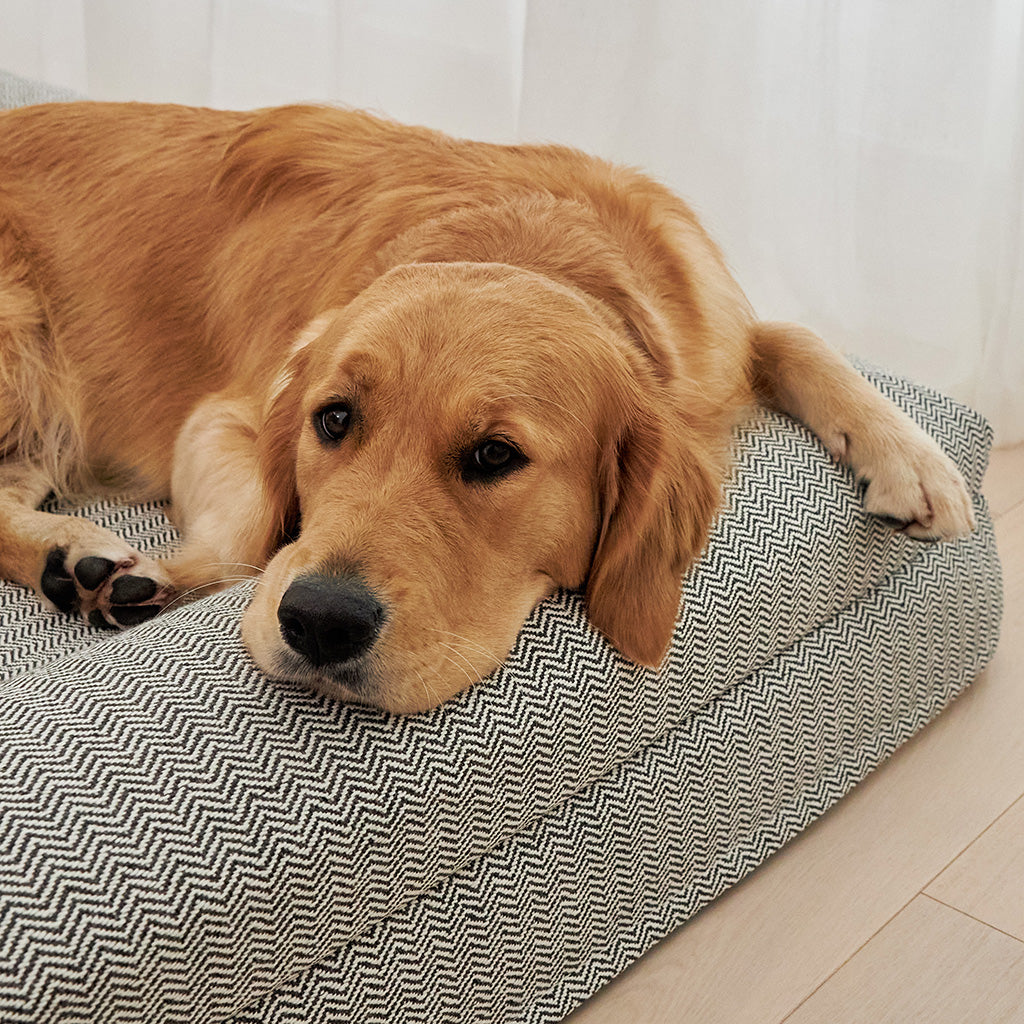 Golden Retriever resting on a herringbone-patterned dog mattress