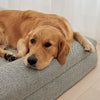 Golden Retriever resting on a herringbone-patterned dog mattress