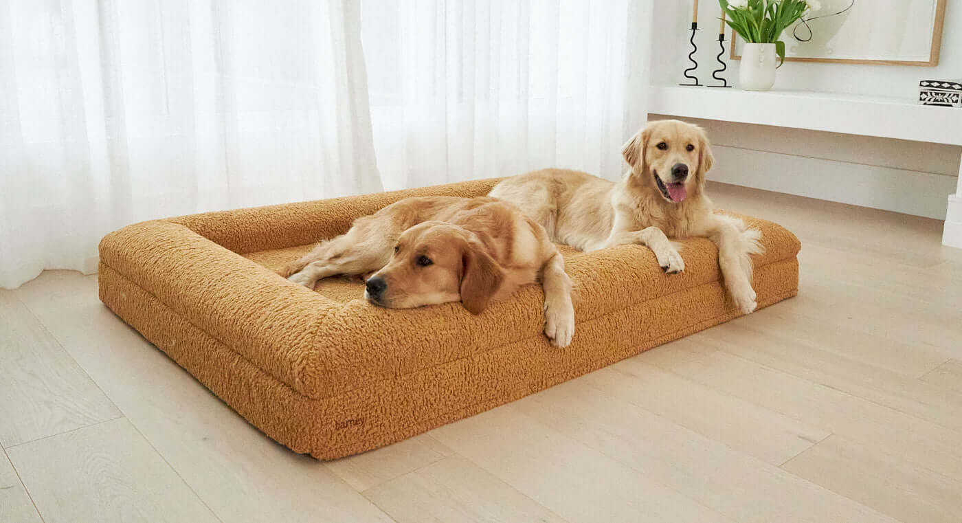 Dog beds clearance australia online