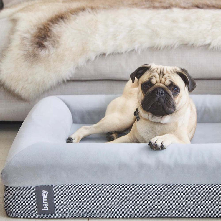 Barney Bed Luxury Dog Beds Designed in Australia
