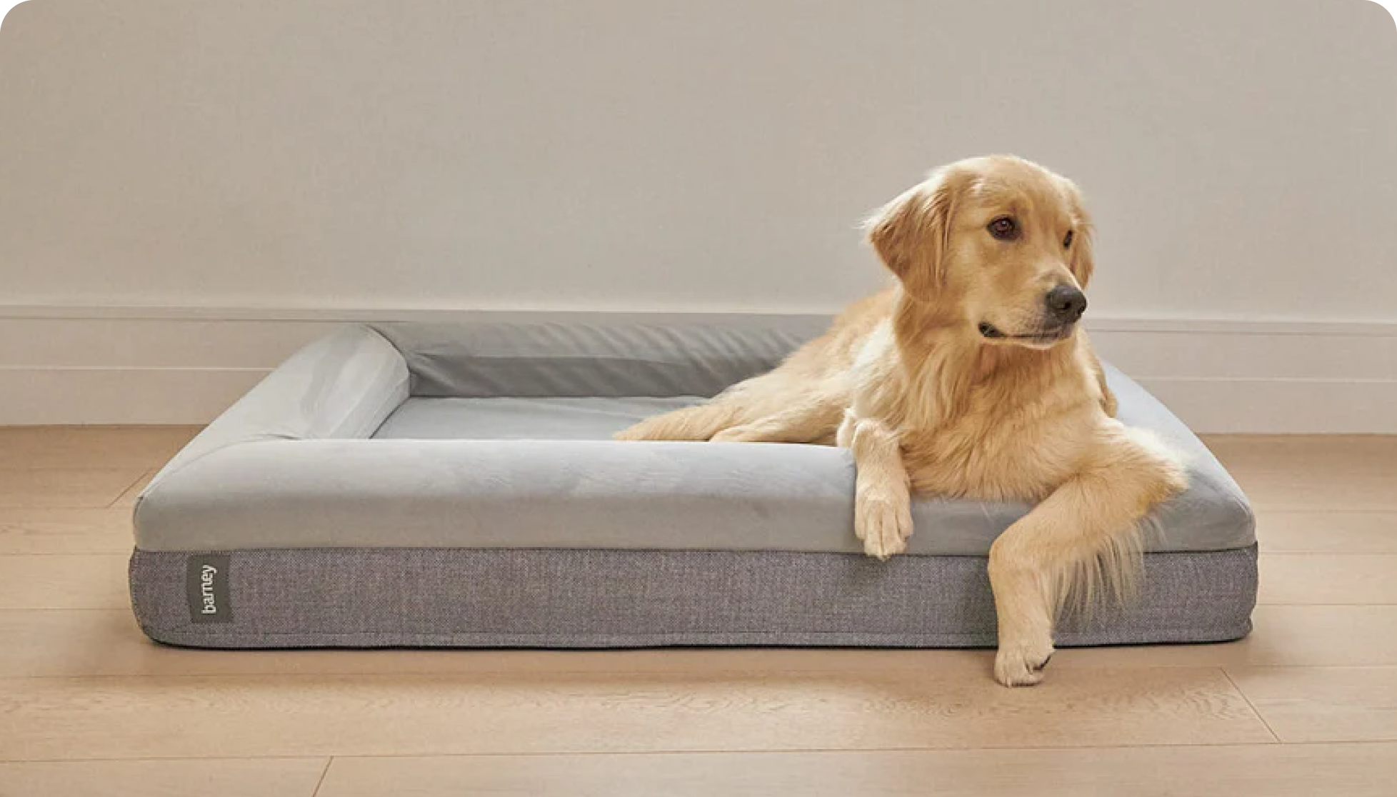 Barney Bed
