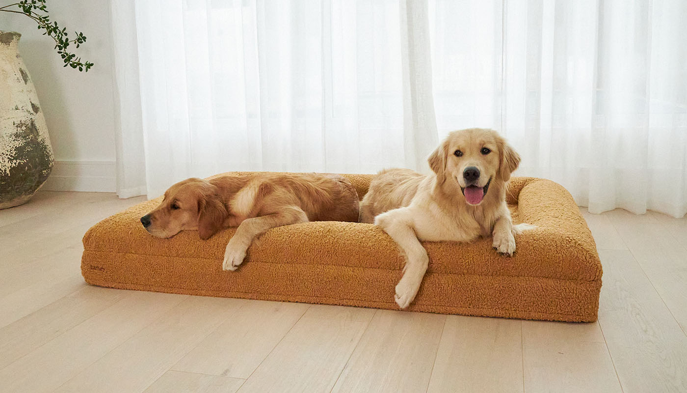 Big barker dog bed australia best sale