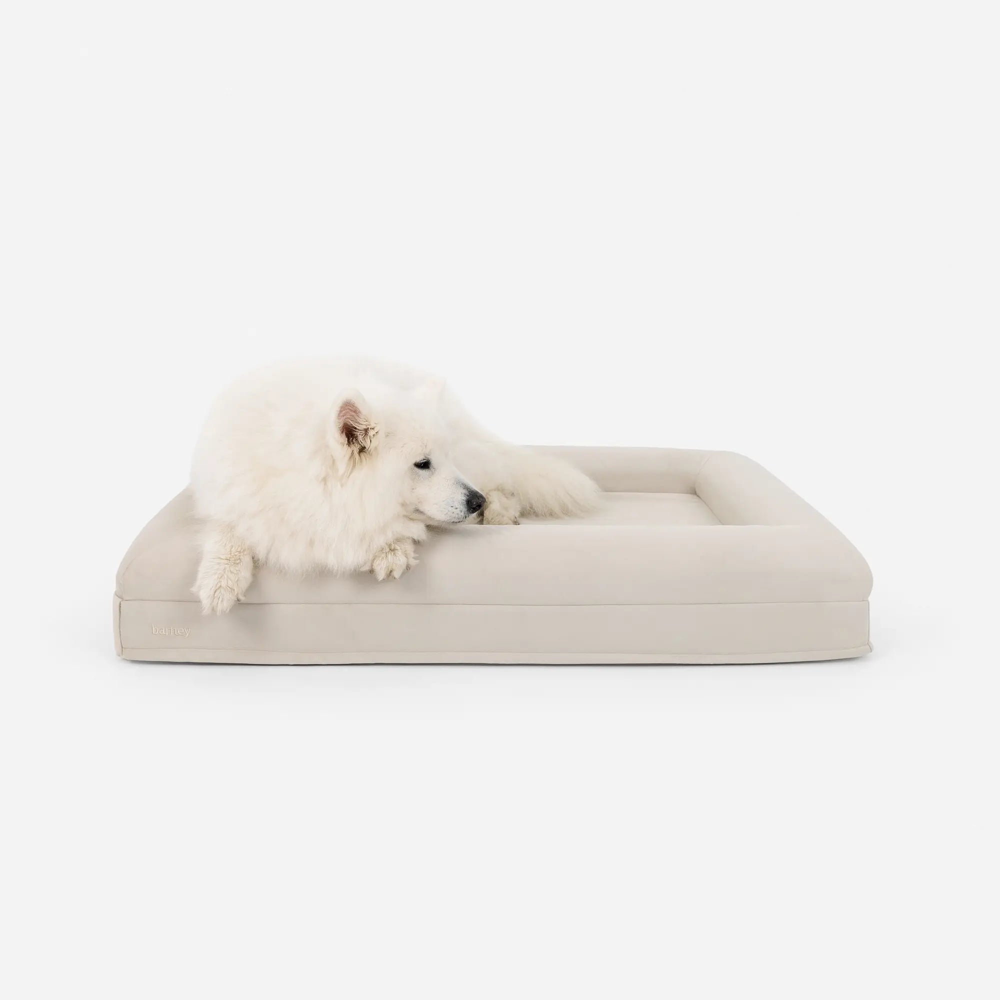 Large Barney Bed in Bone