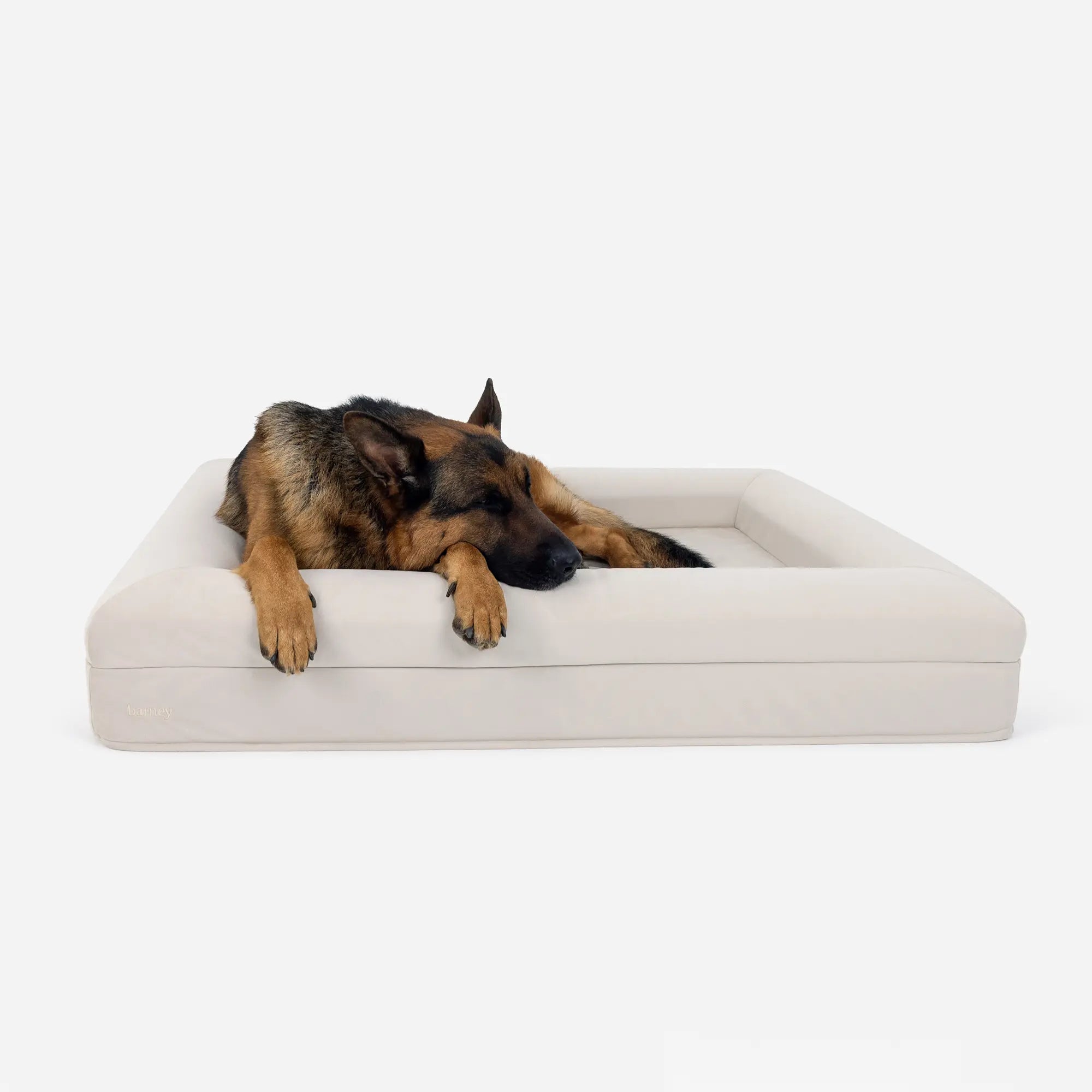 Large Plus Barney Bed in Bone