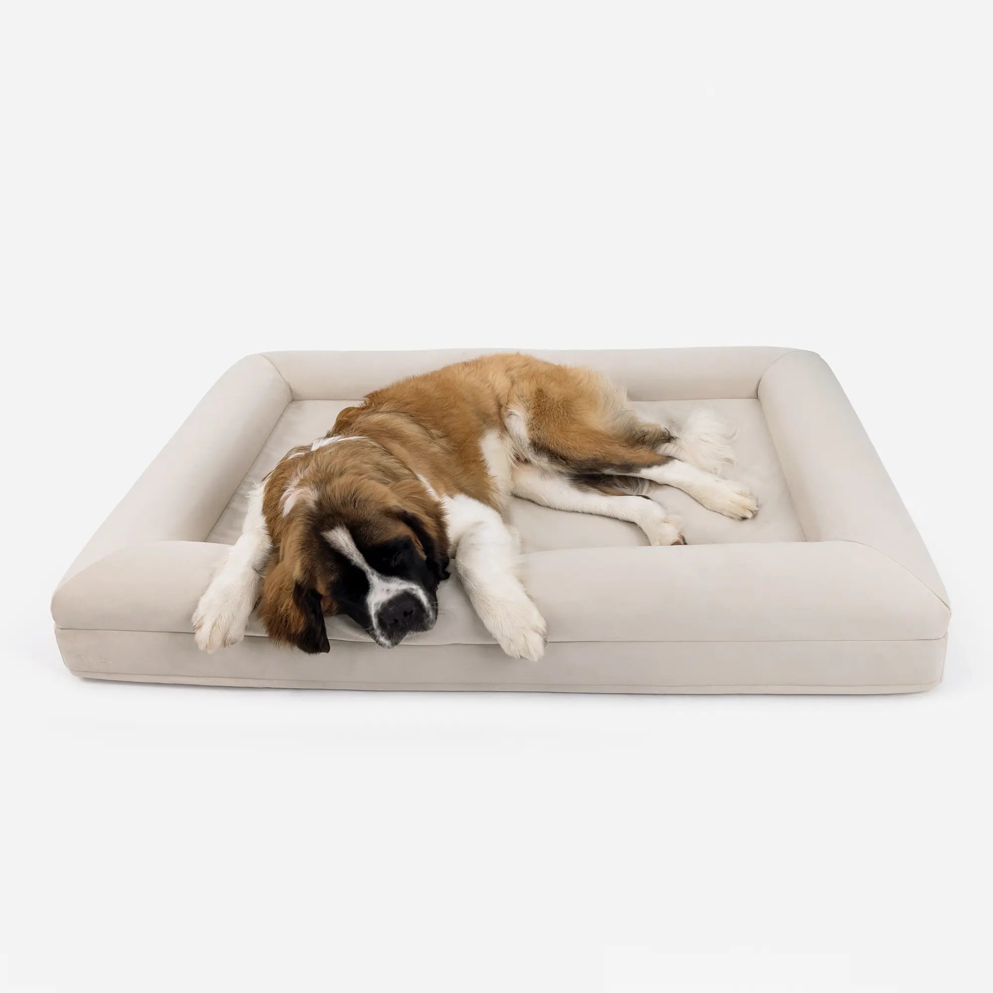XL Barney Bed in Bone
