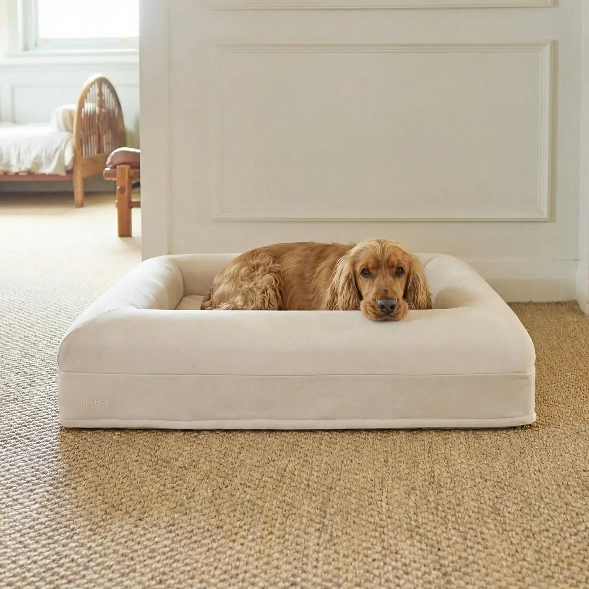 Medium Barney Bed in Bone