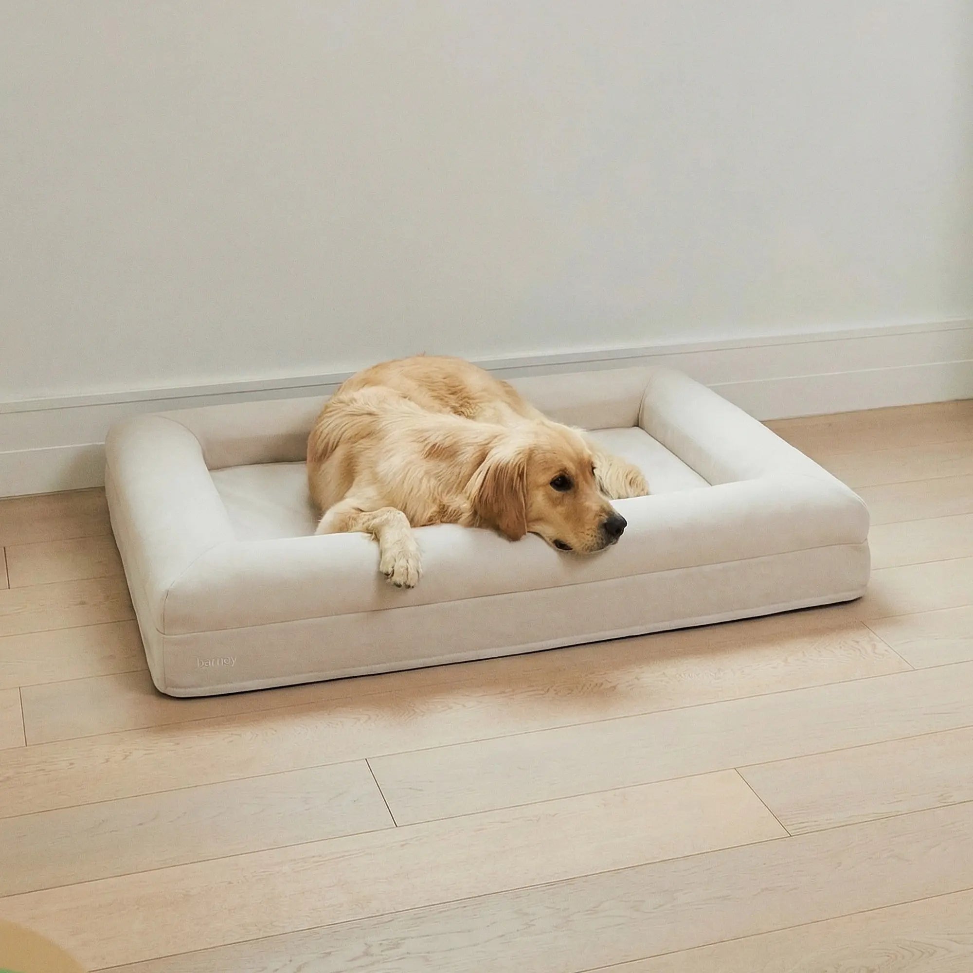 Large Barney Bed in Bone