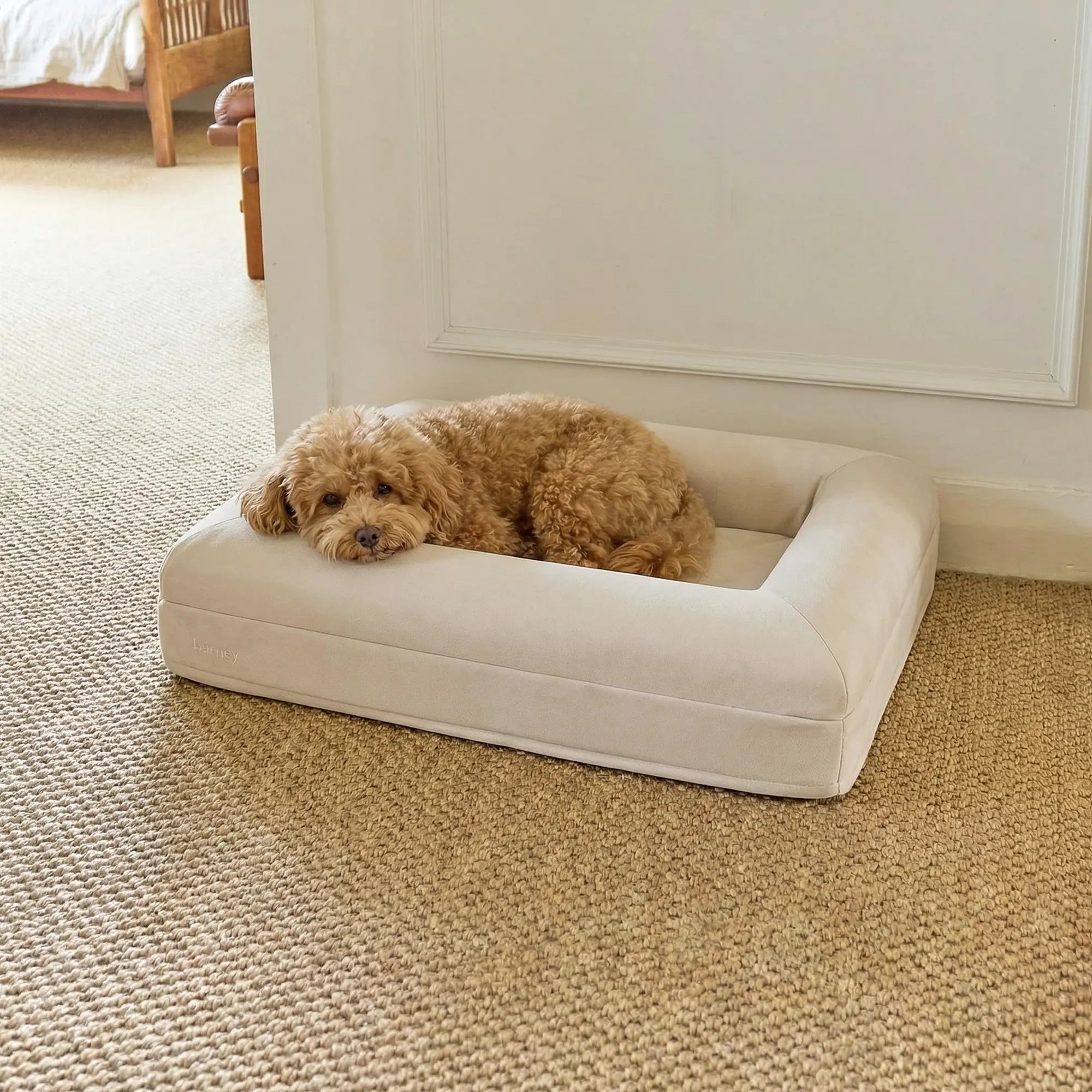Small Barney Bed in Bone