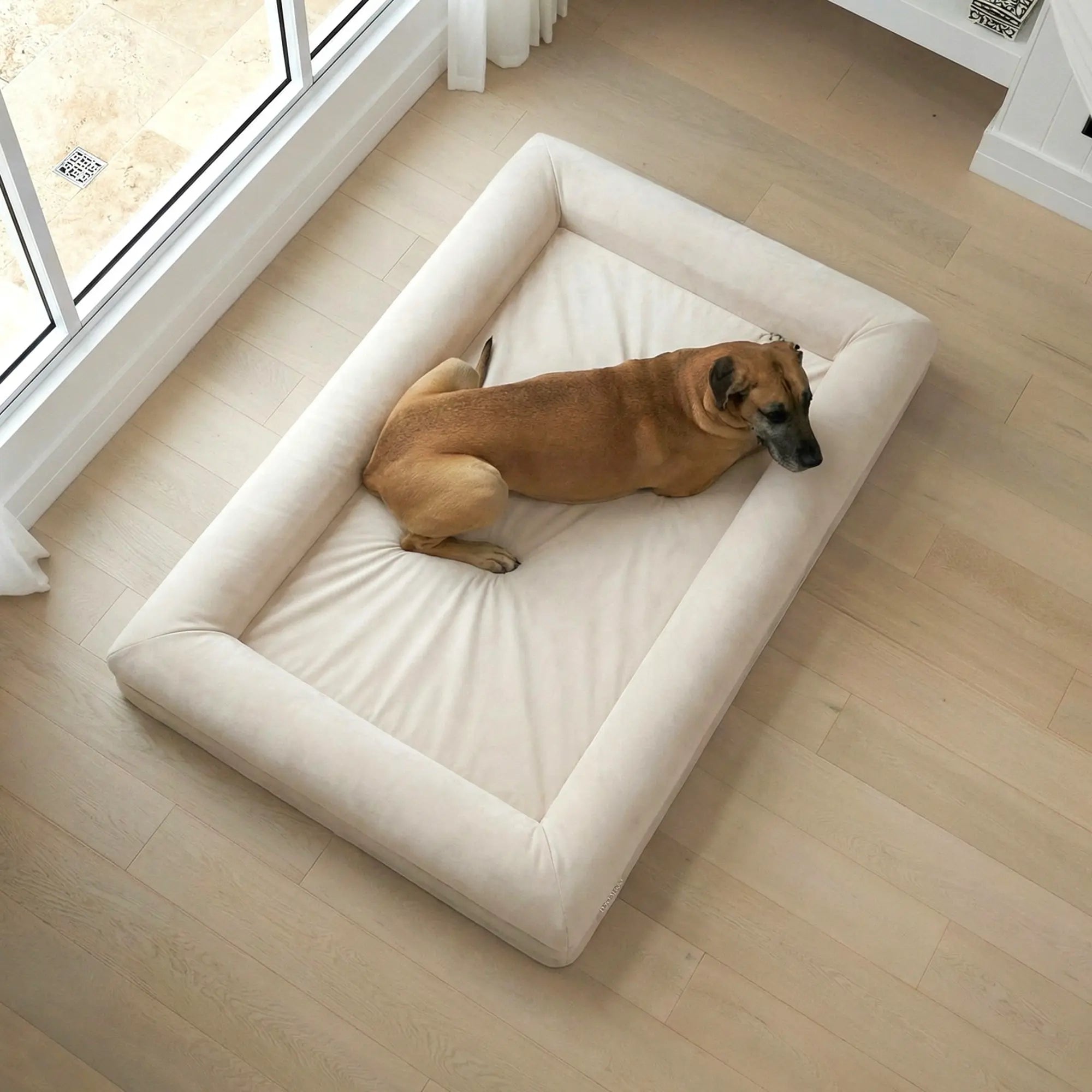 XXL Barney Bed in Bone