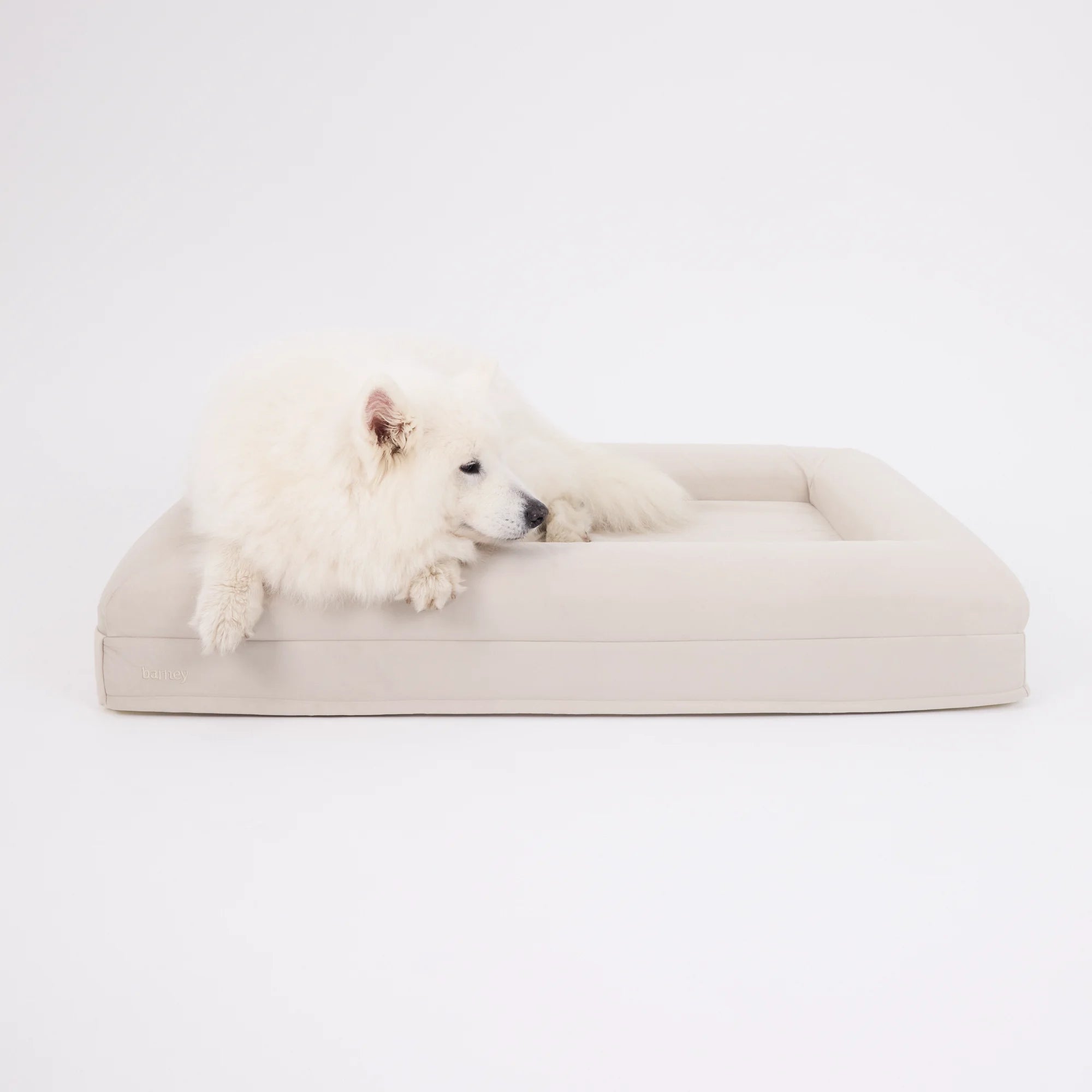 dogbed