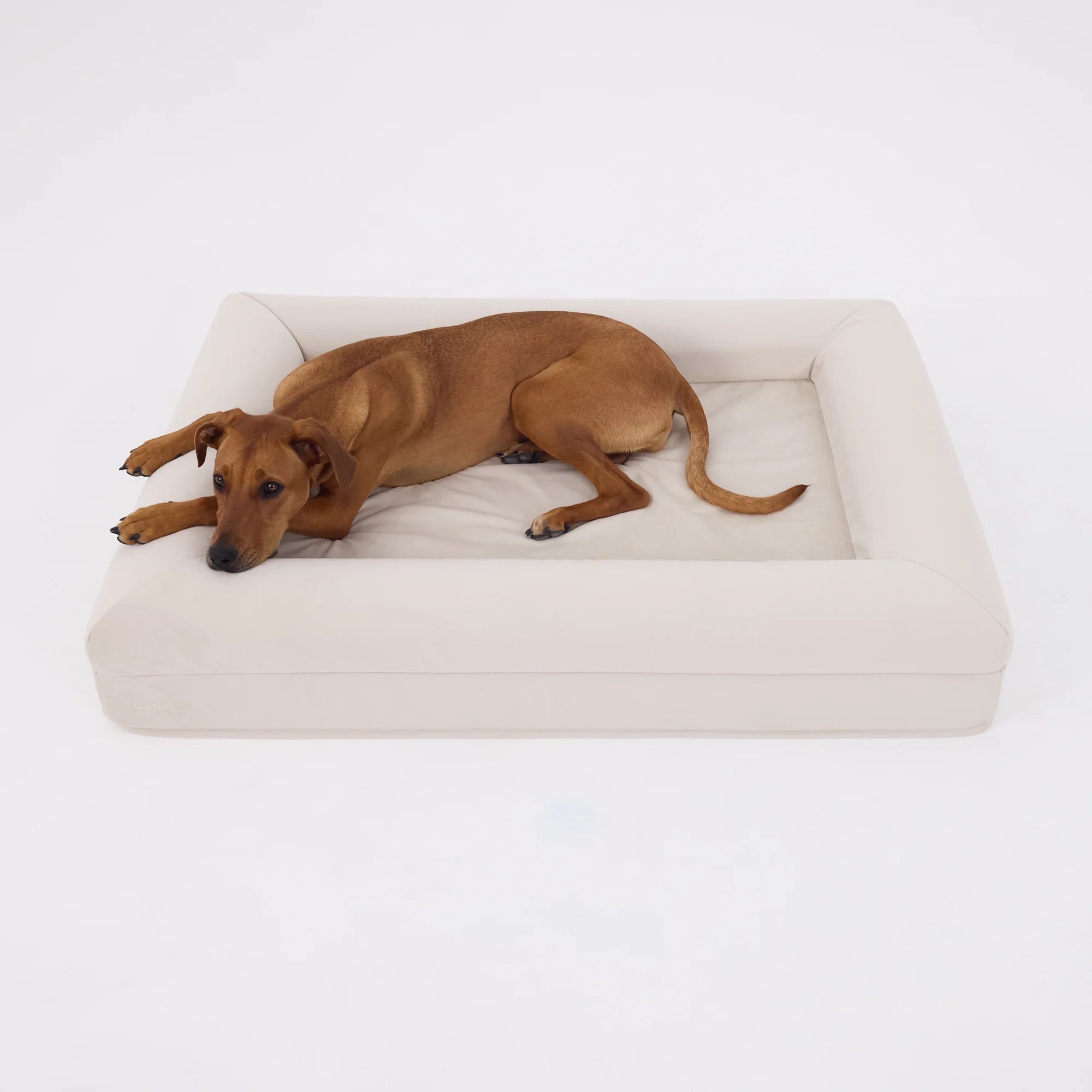 dogbed