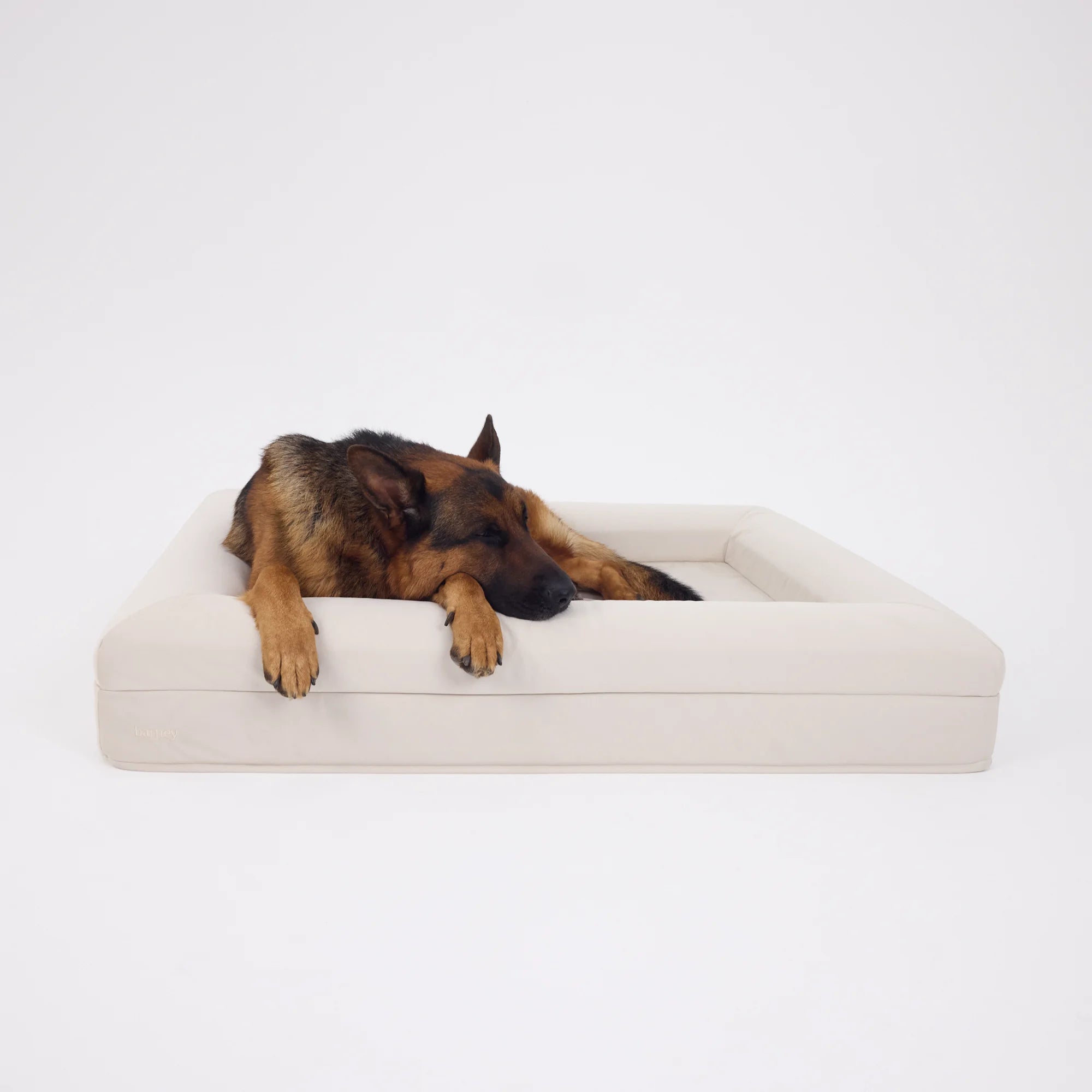 dogbed