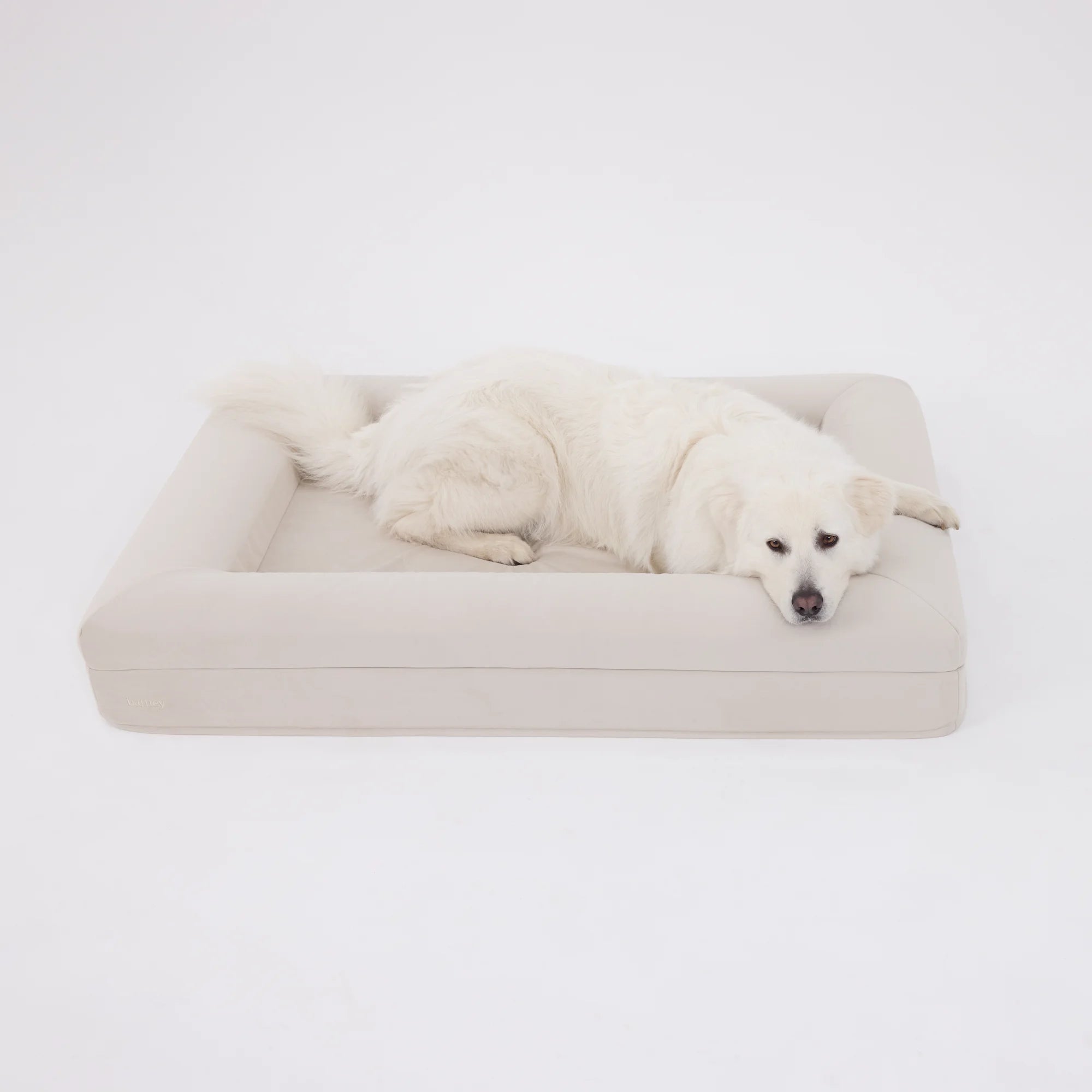 dogbed
